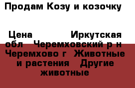 Продам Козу и козочку. › Цена ­ 5 000 - Иркутская обл., Черемховский р-н, Черемхово г. Животные и растения » Другие животные   . Иркутская обл.